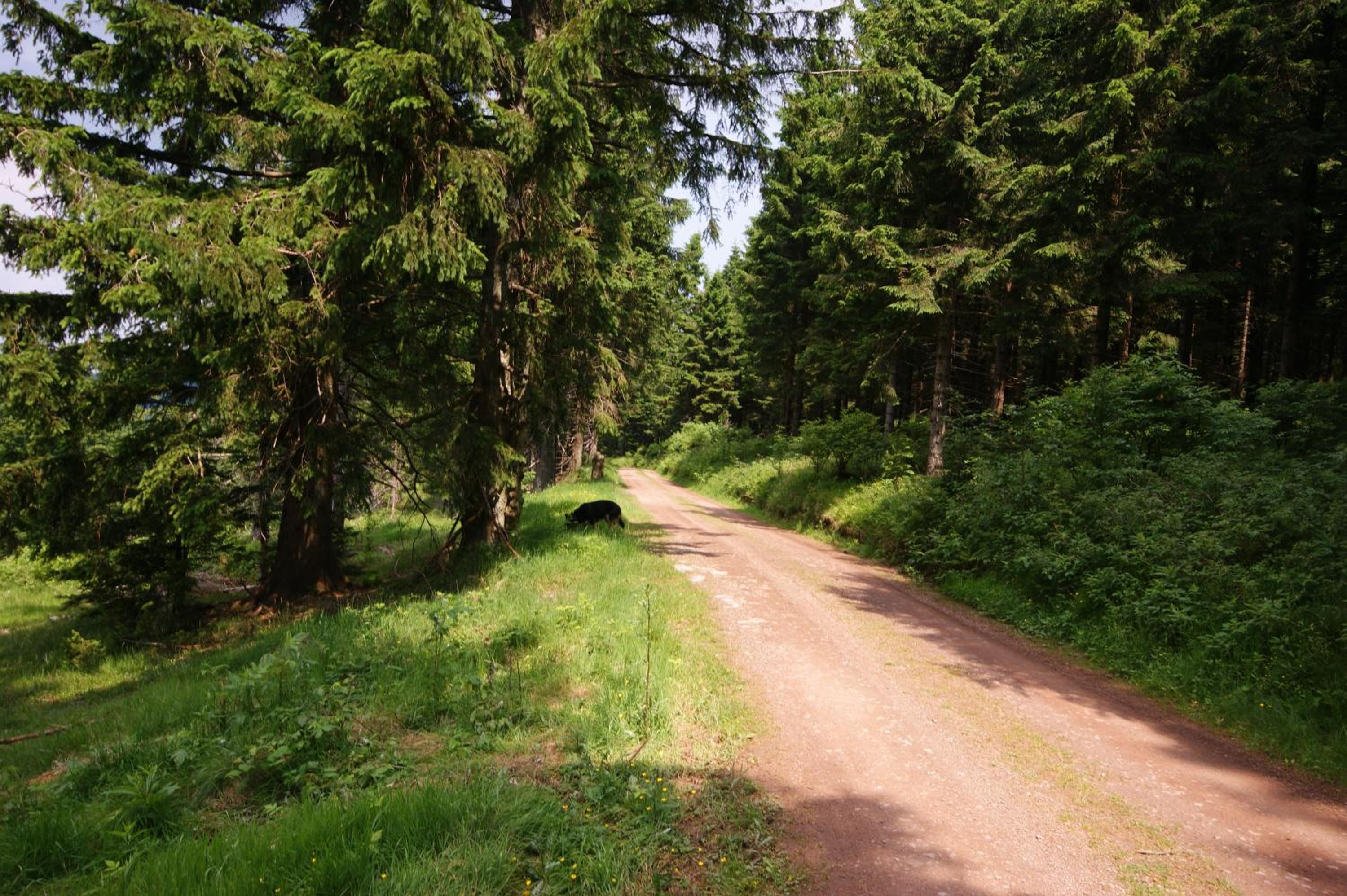 Der Kolmenhof - Dein Ort an der Quelle