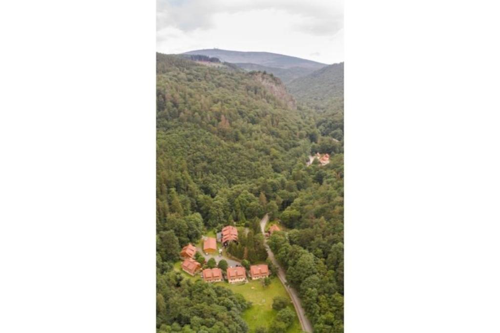 Ferienwohnung Forsthaus am Brocken, 40 qm, 1 Schlafzimmer F8