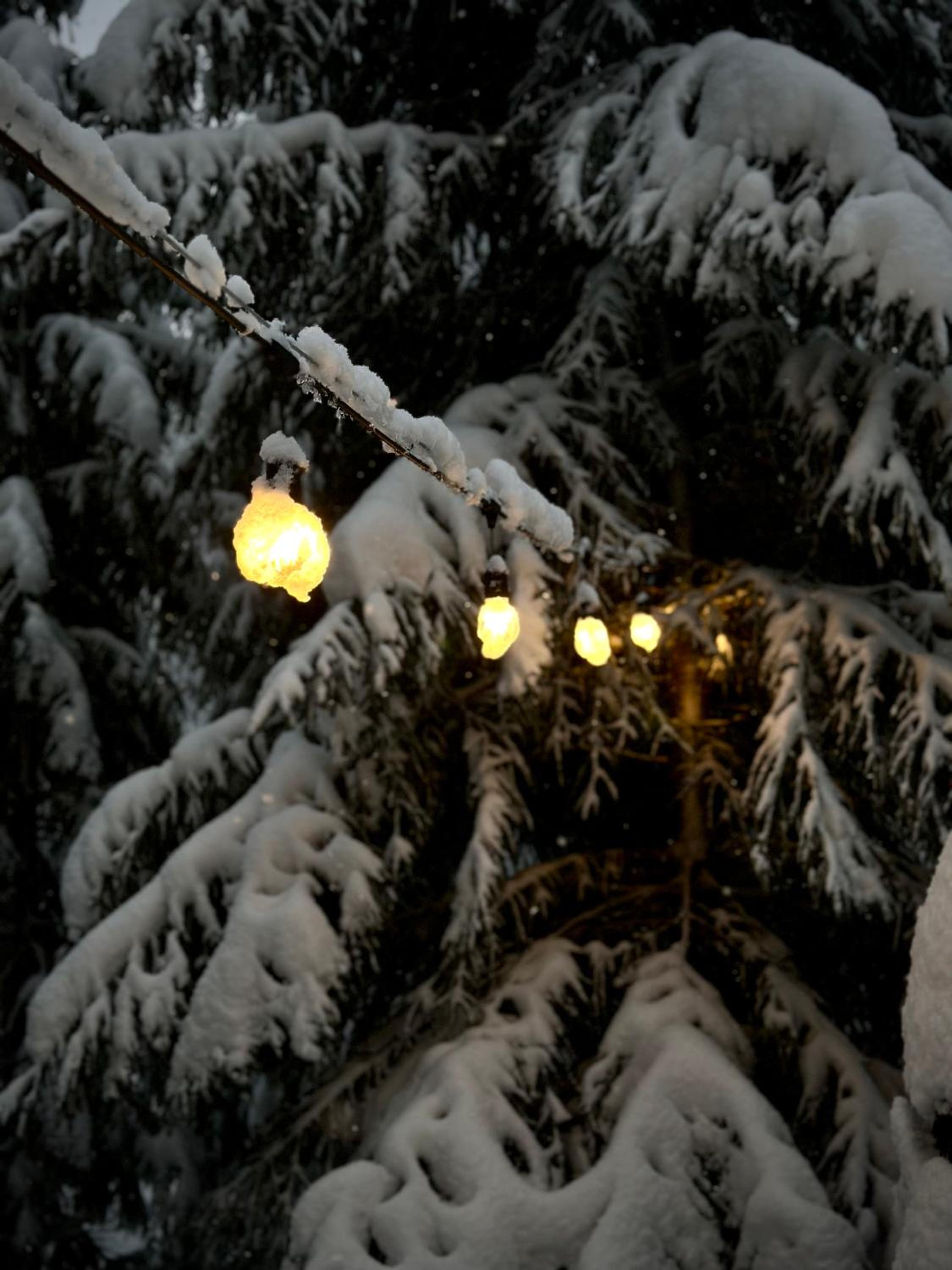 Pedaspä Igloo House and Sauna
