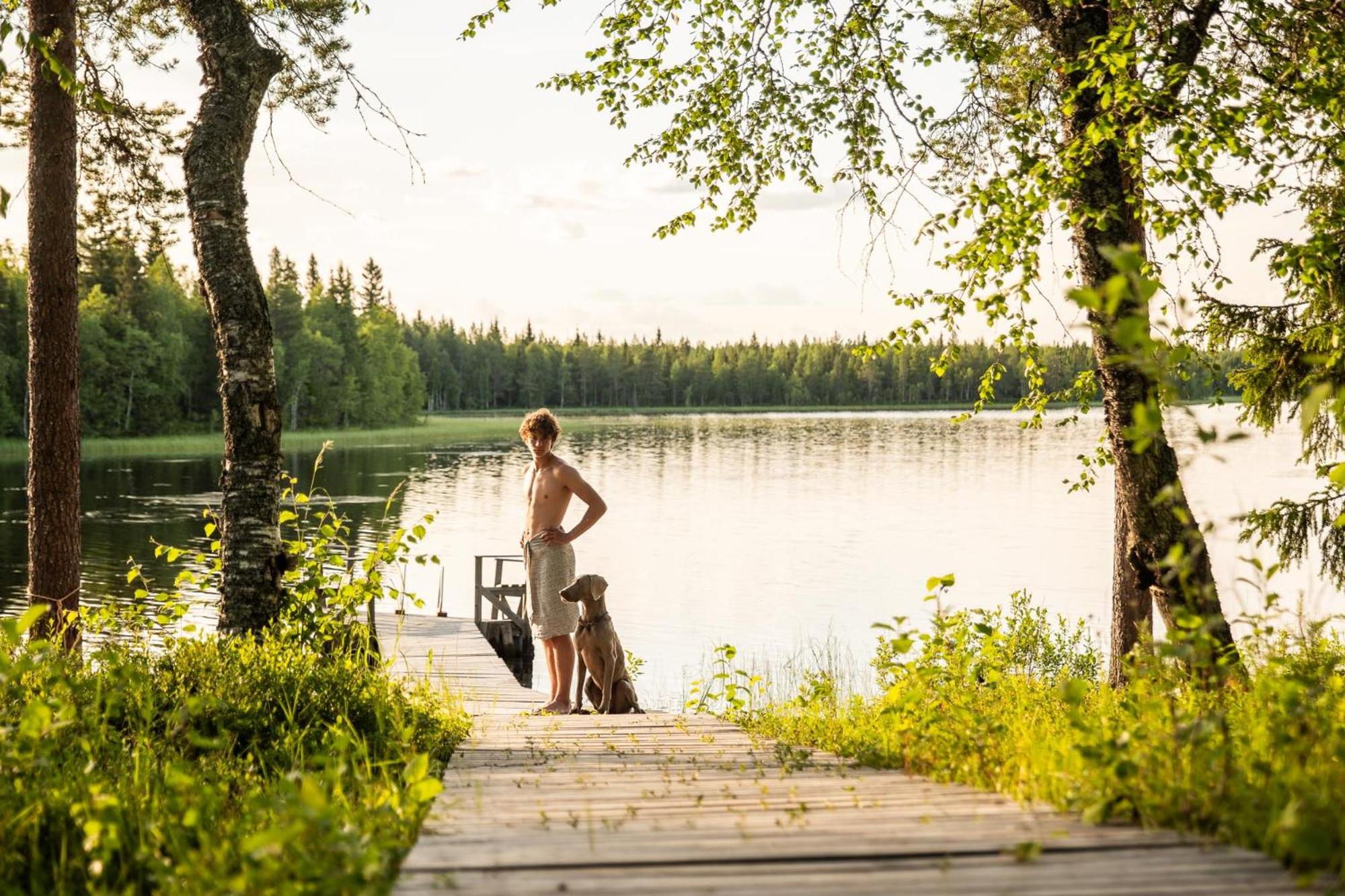 Metsä Kolo