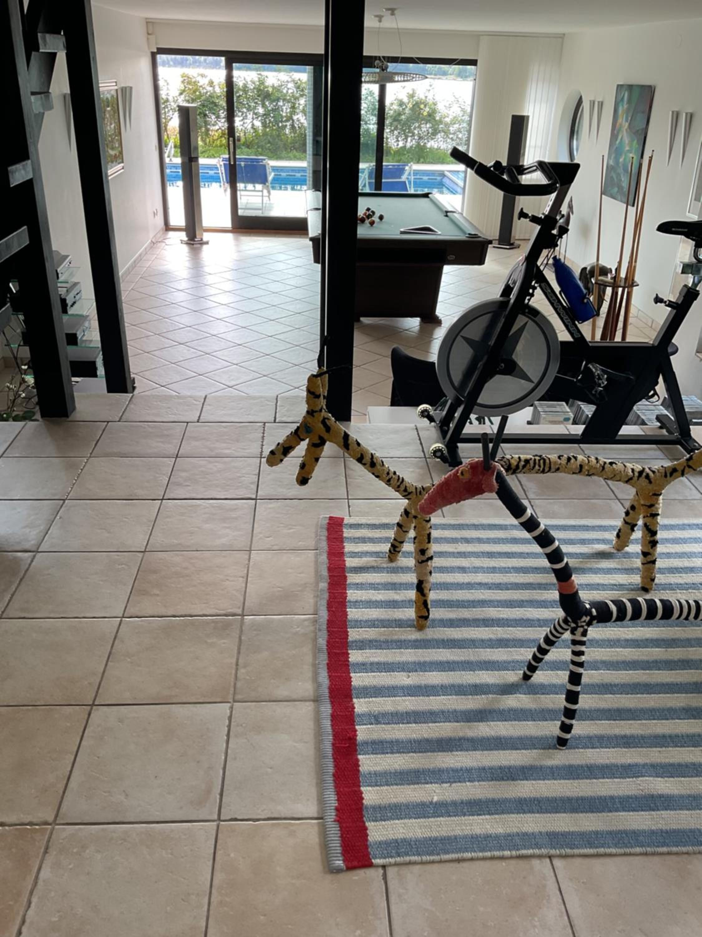 Exclusive rental of the Entire Spacious Ground Floor view 5