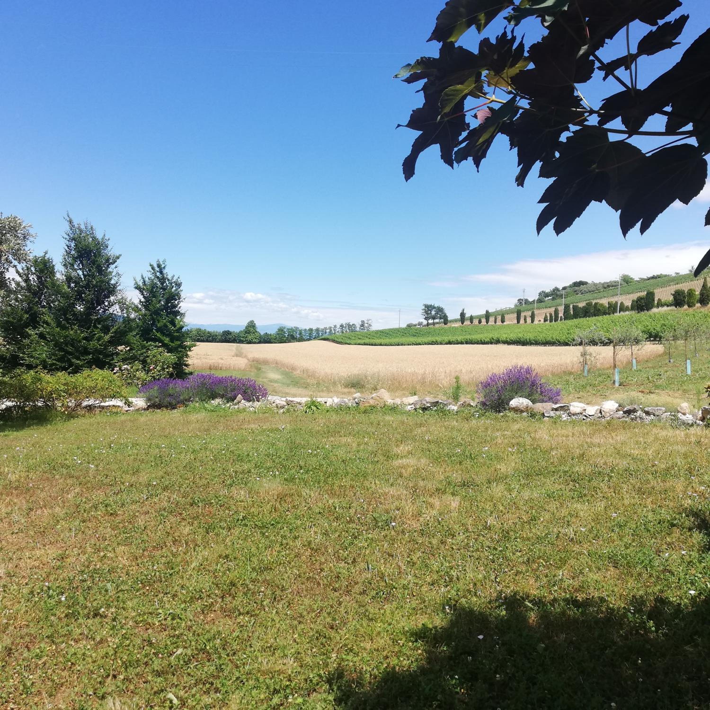 Photo 41