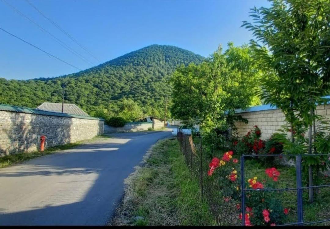 Pastar mountain