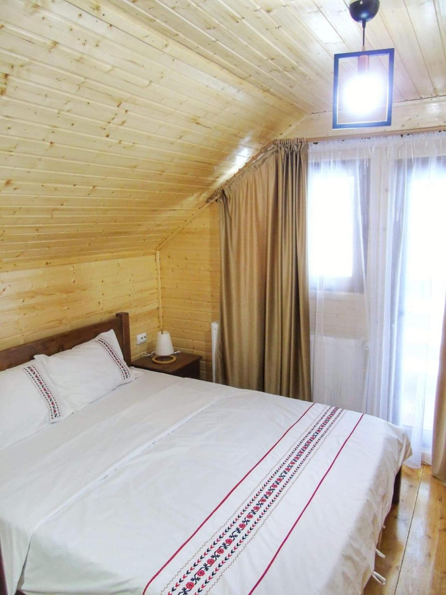 Cabana Dintre Munti view 2