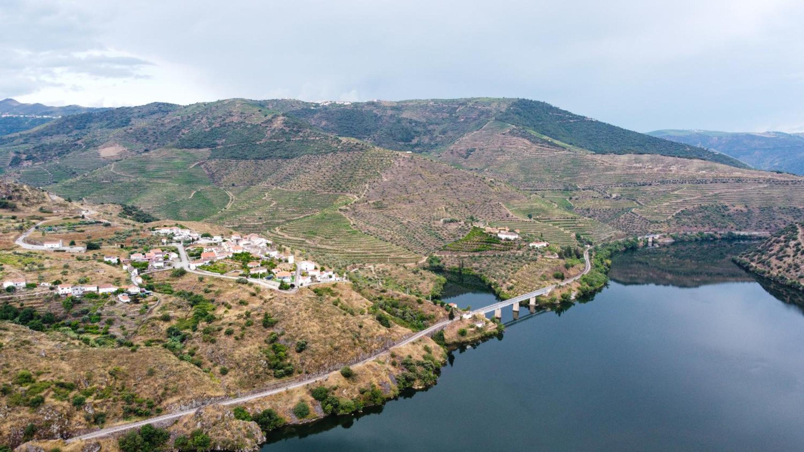 RENT4REST DOURO RIVER VIEW FAMILY RETREAT 3BD Apartment