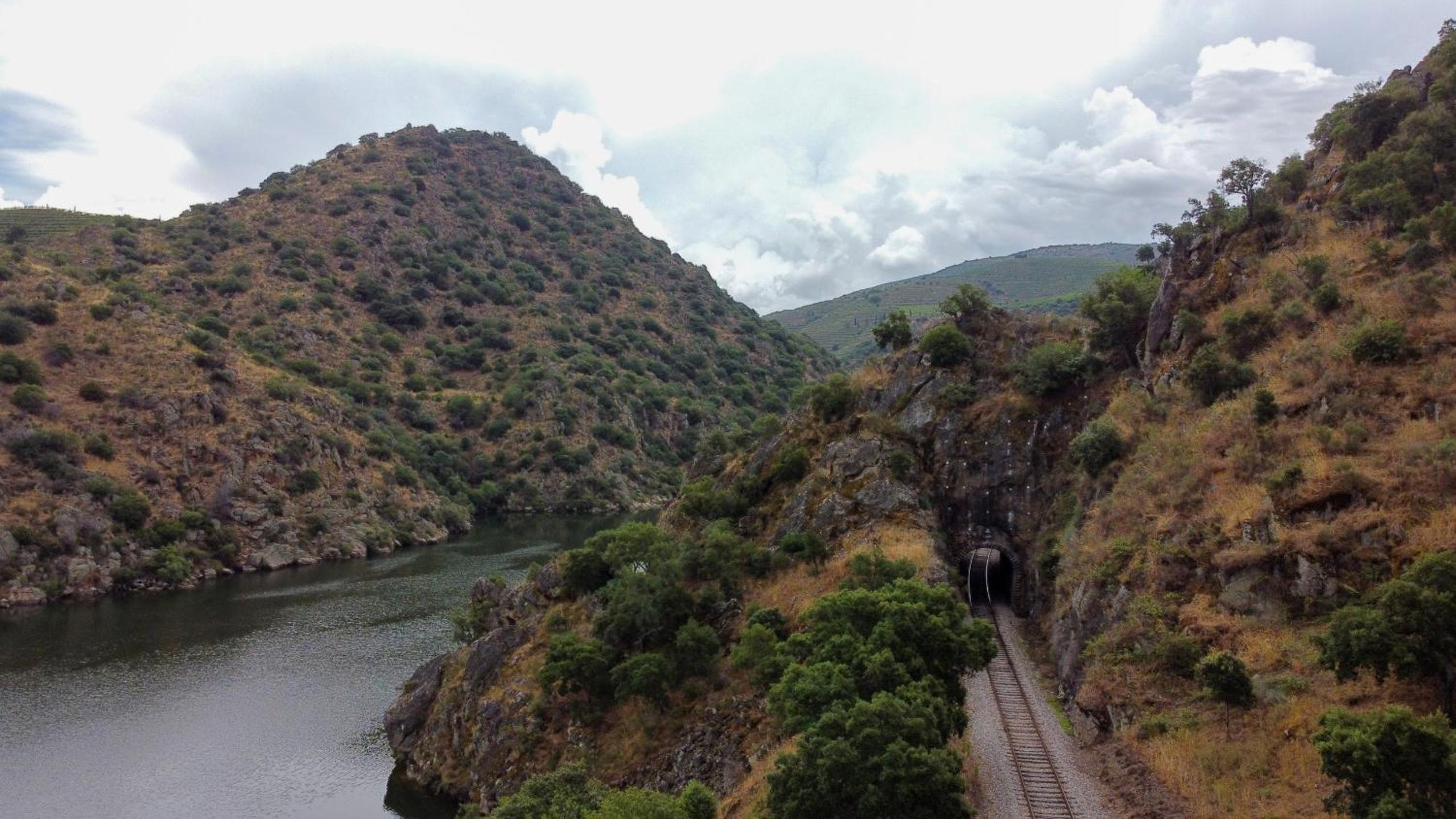 RENT4REST DOURO RIVER VIEW FAMILY RETREAT 3BD Apartment