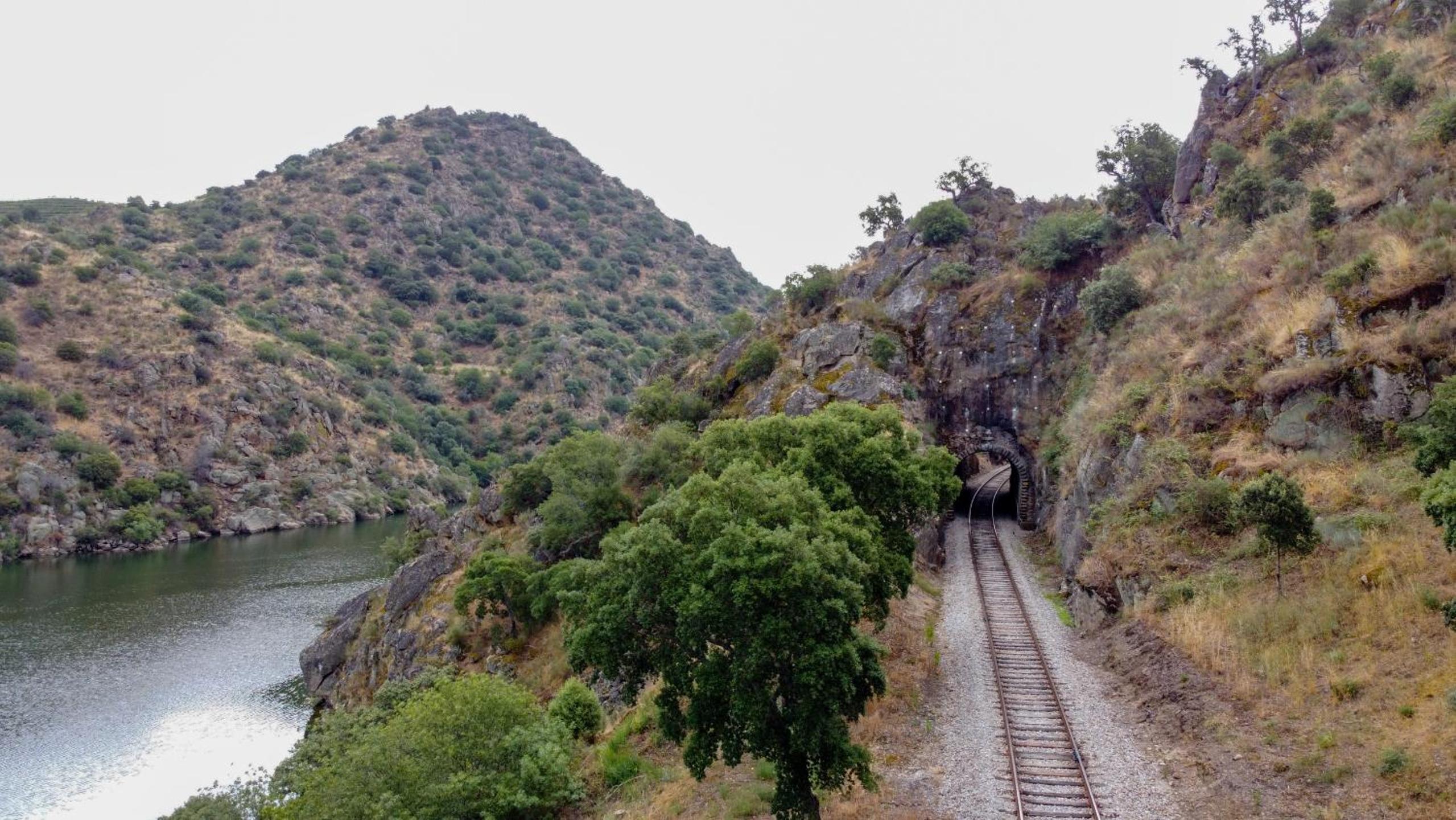 RENT4REST DOURO RIVER VIEW FAMILY RETREAT 3BD Apartment