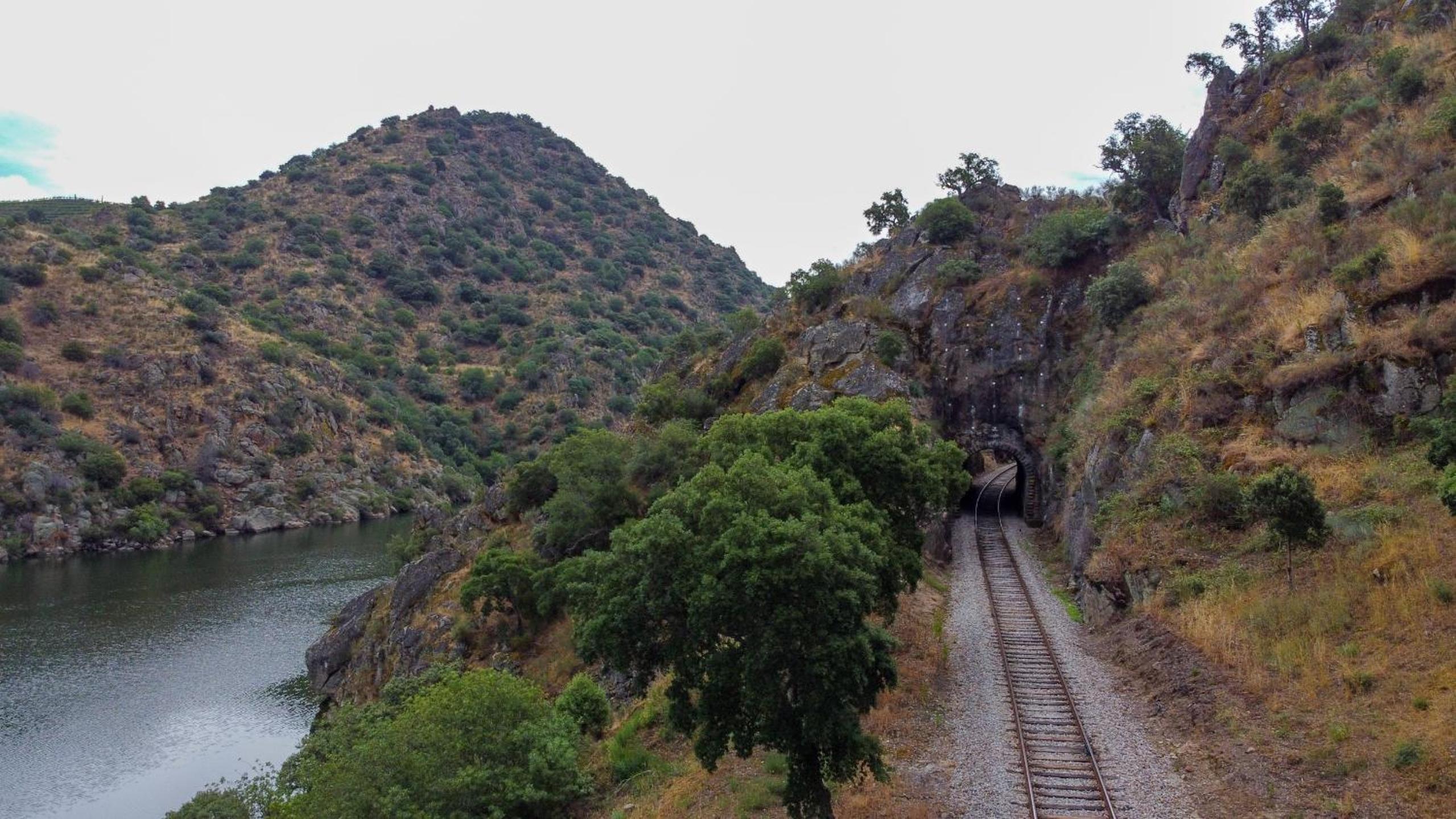 RENT4REST DOURO RIVER VIEW FAMILY RETREAT 3BD Apartment