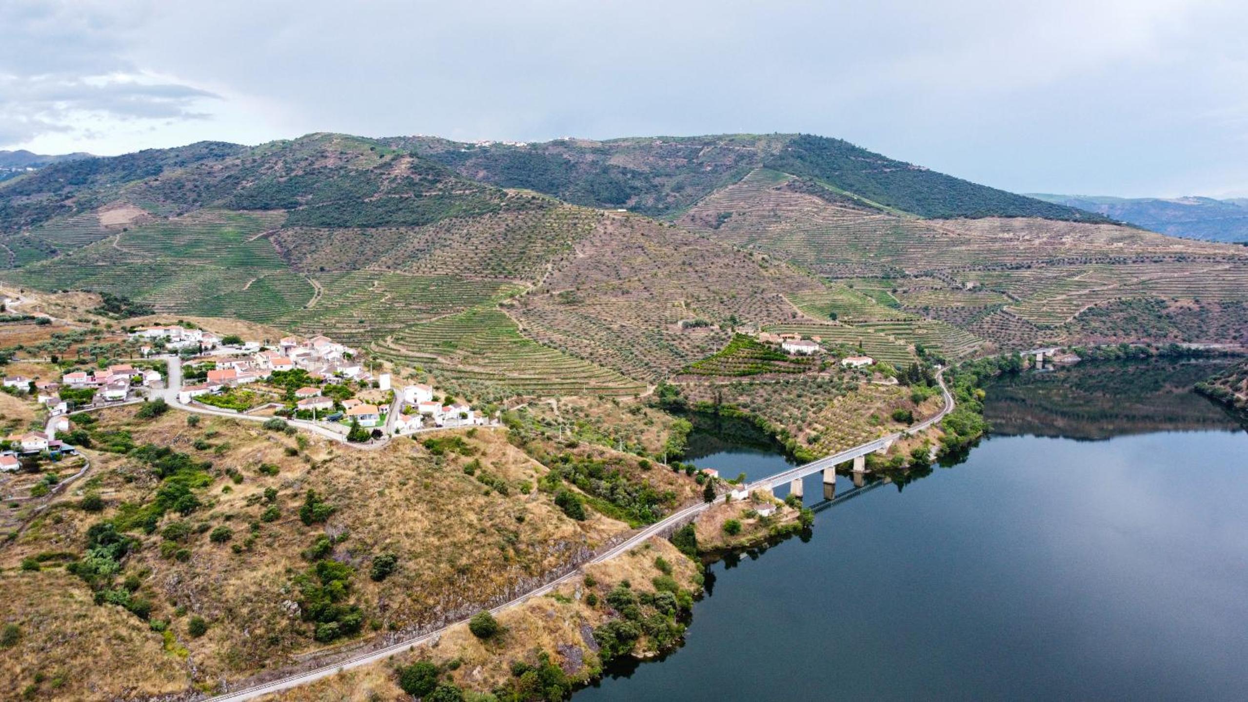 RENT4REST DOURO RIVER VIEW FAMILY RETREAT 3BD Apartment