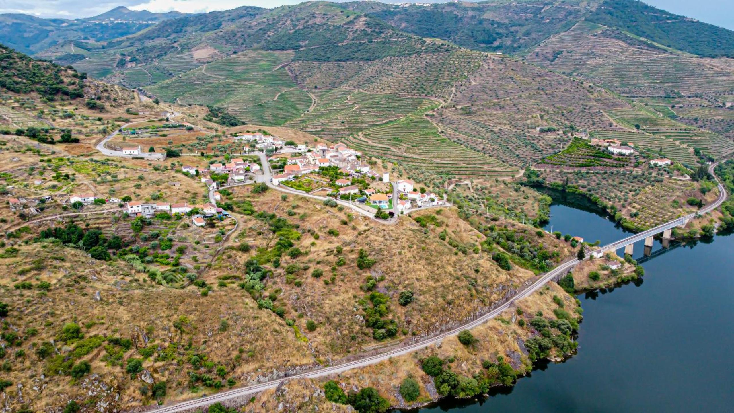 RENT4REST DOURO RIVER VIEW FAMILY RETREAT 3BD Apartment