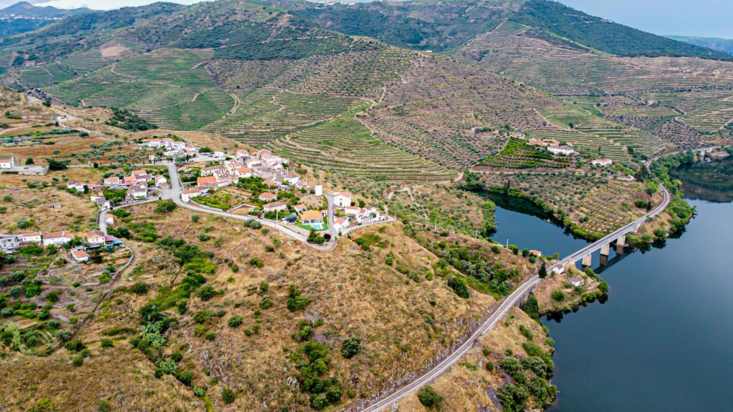 RENT4REST DOURO RIVER VIEW FAMILY RETREAT 3BD Apartment