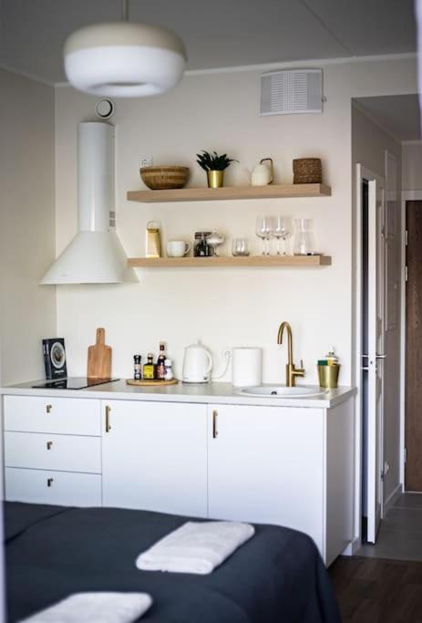 Järvevaatega studio apartment