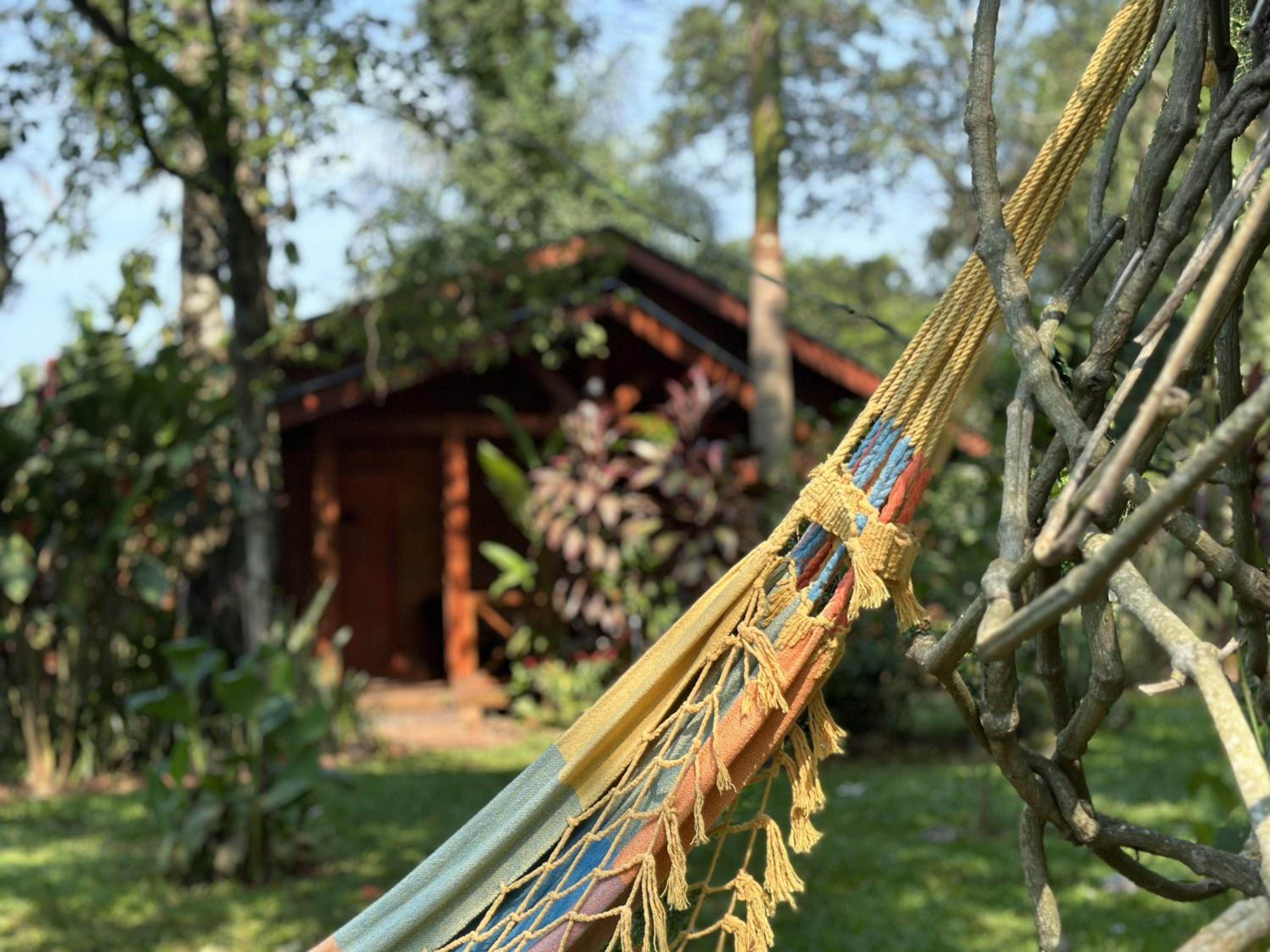 Terra Lodge
