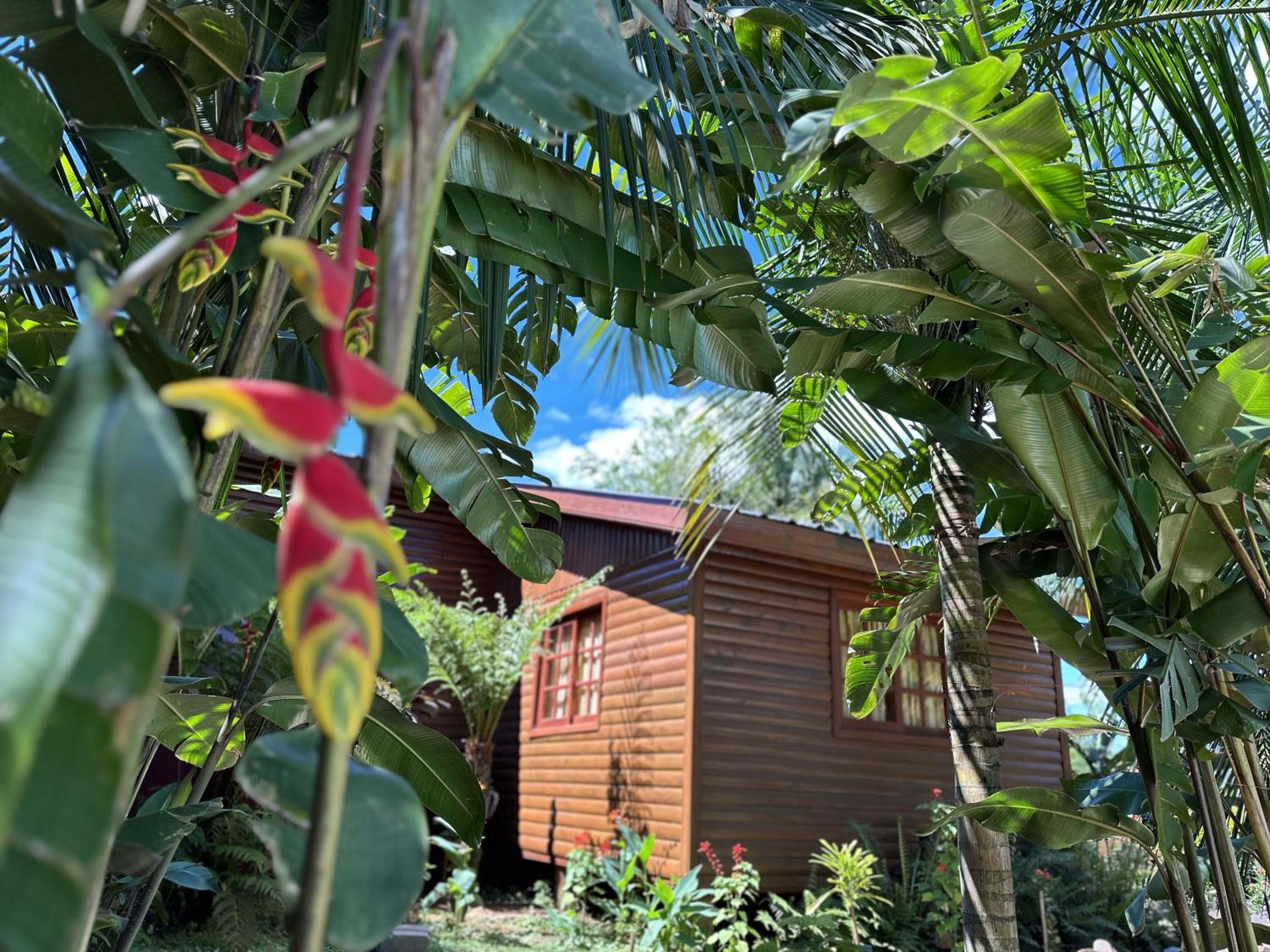 Terra Lodge