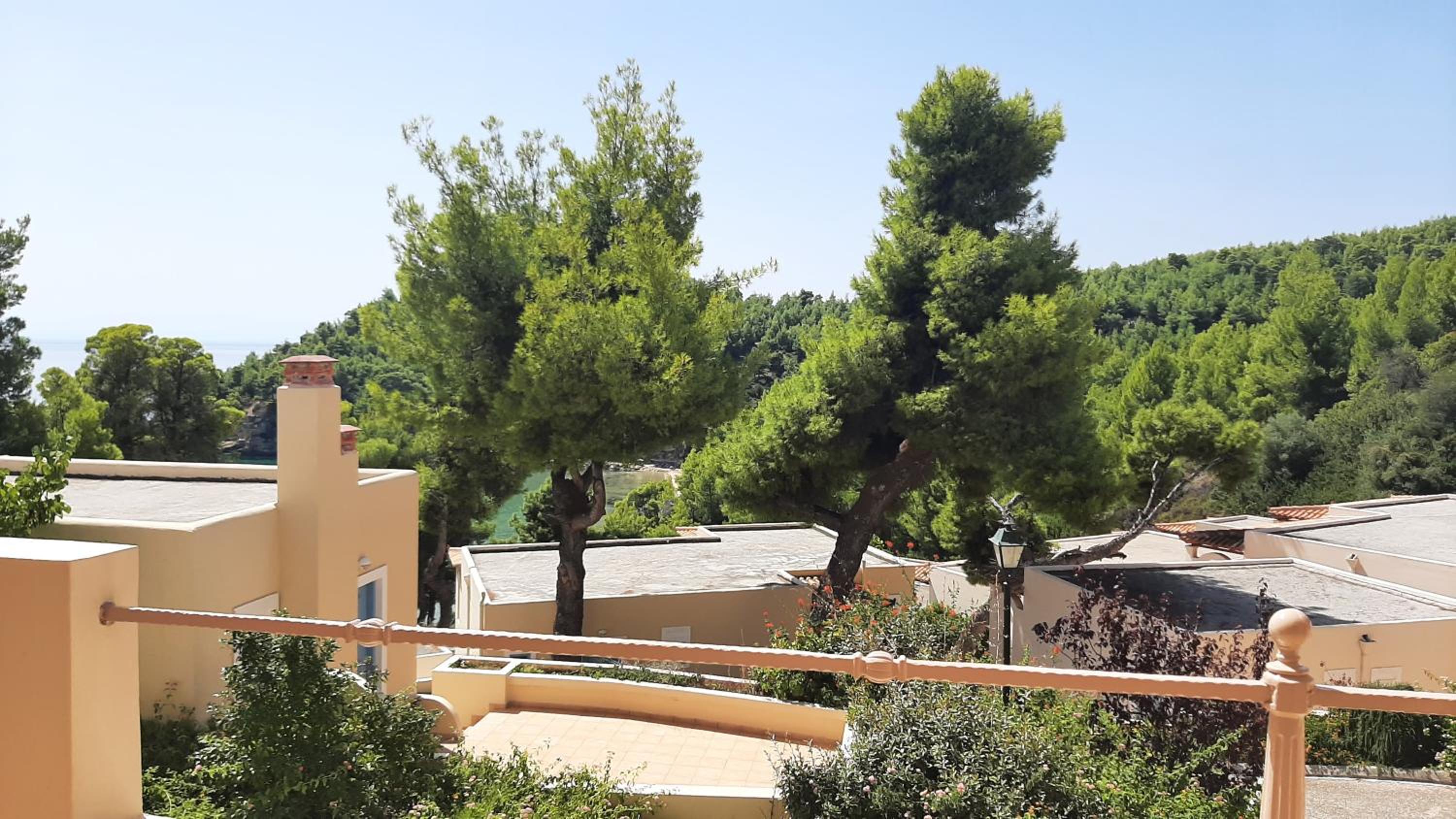 Alonissos Beach Bungalows And Suites Hotel