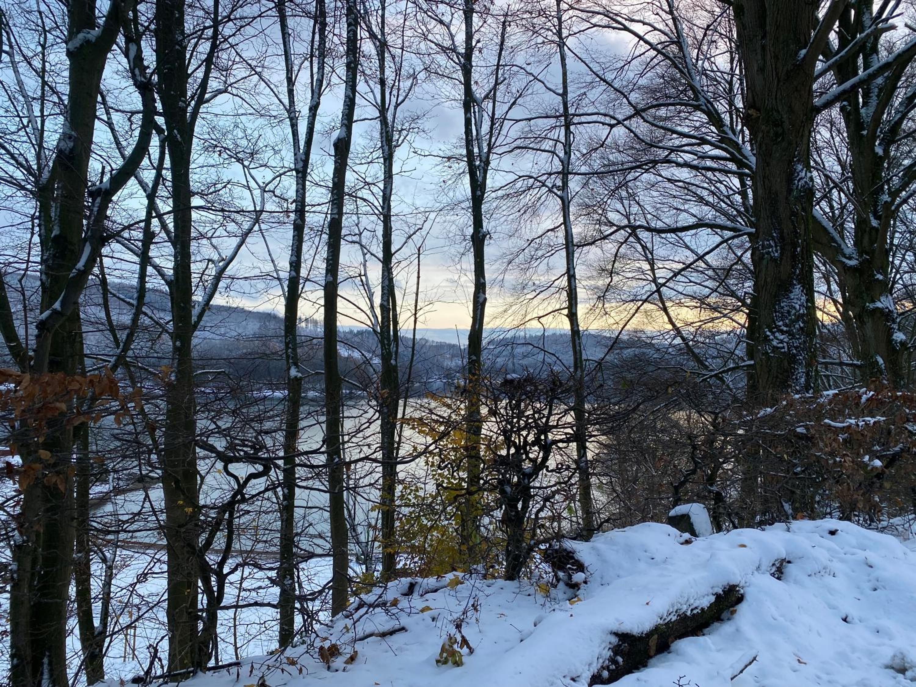 Henneliebe am Hennesee
