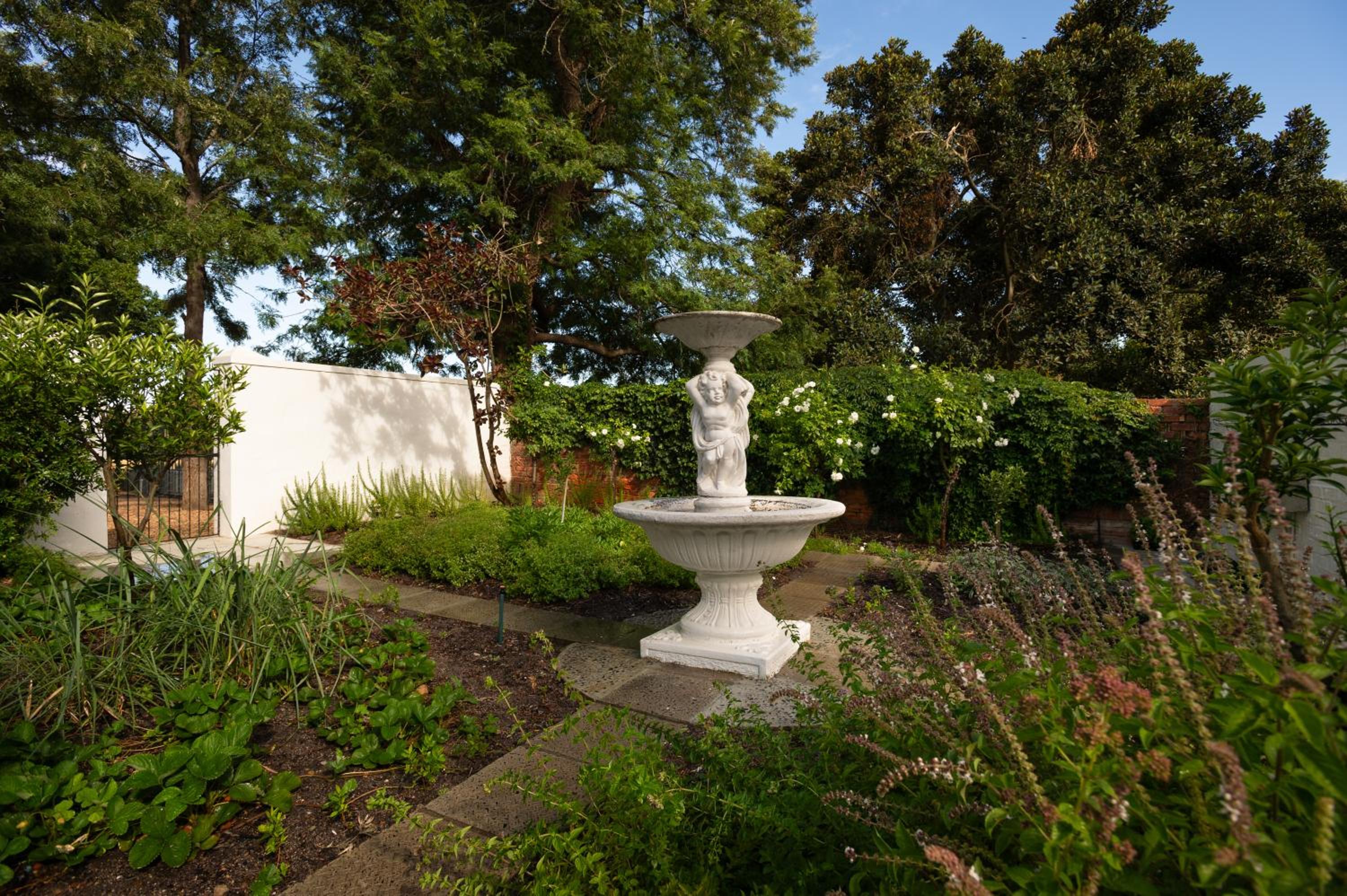 Photo 46
