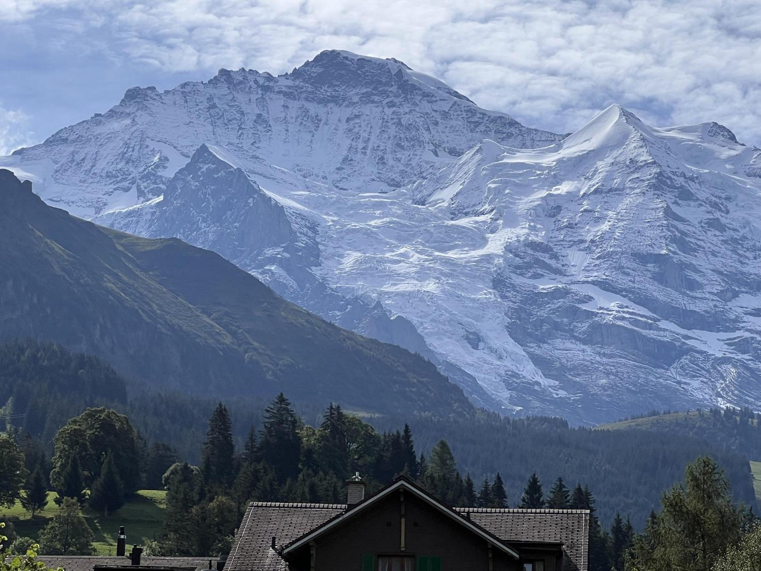 Chalet Bergrose 3