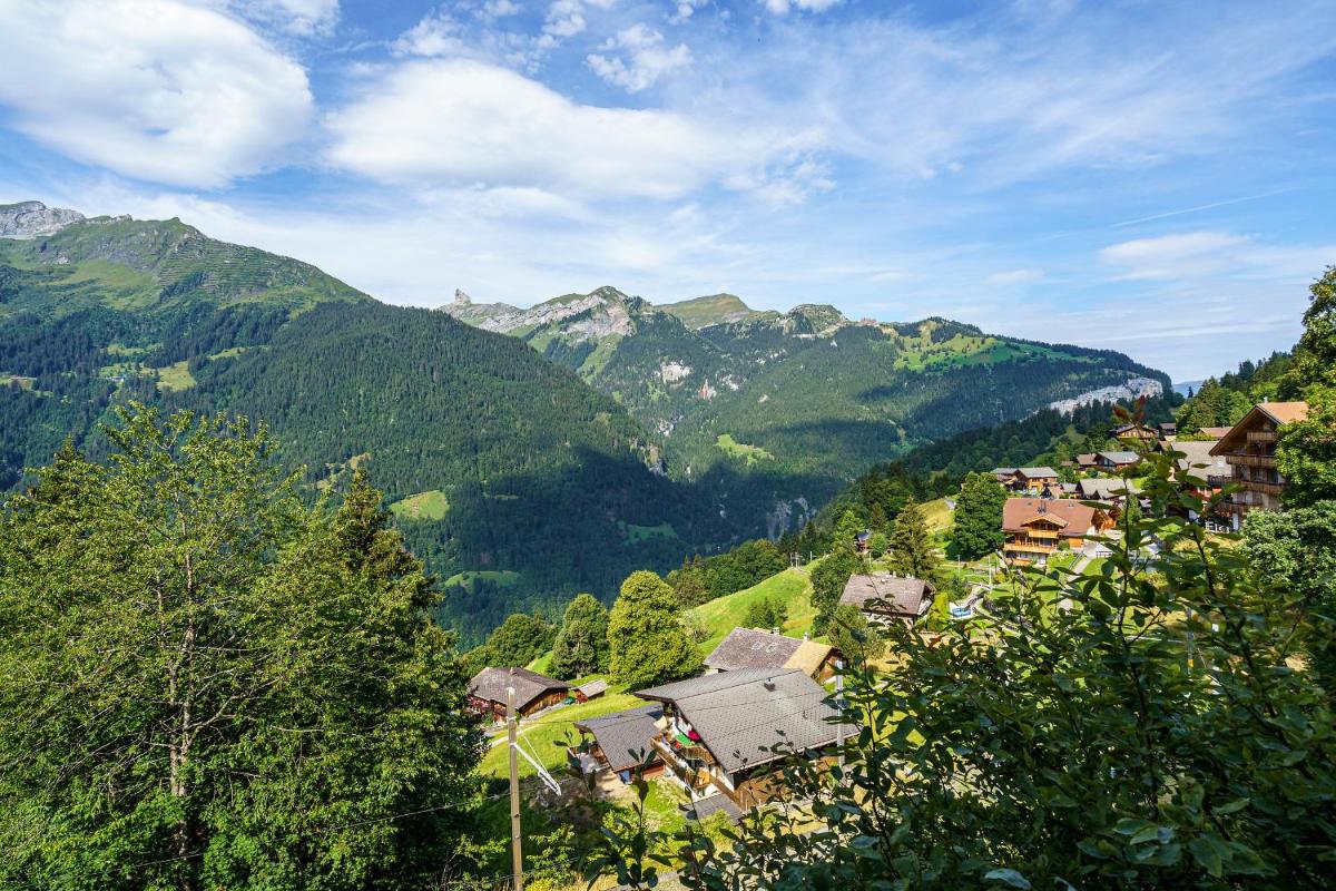 Chalet Krokus 6