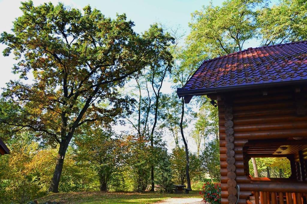 Luxury Chalet at Podlipje Estate view 5