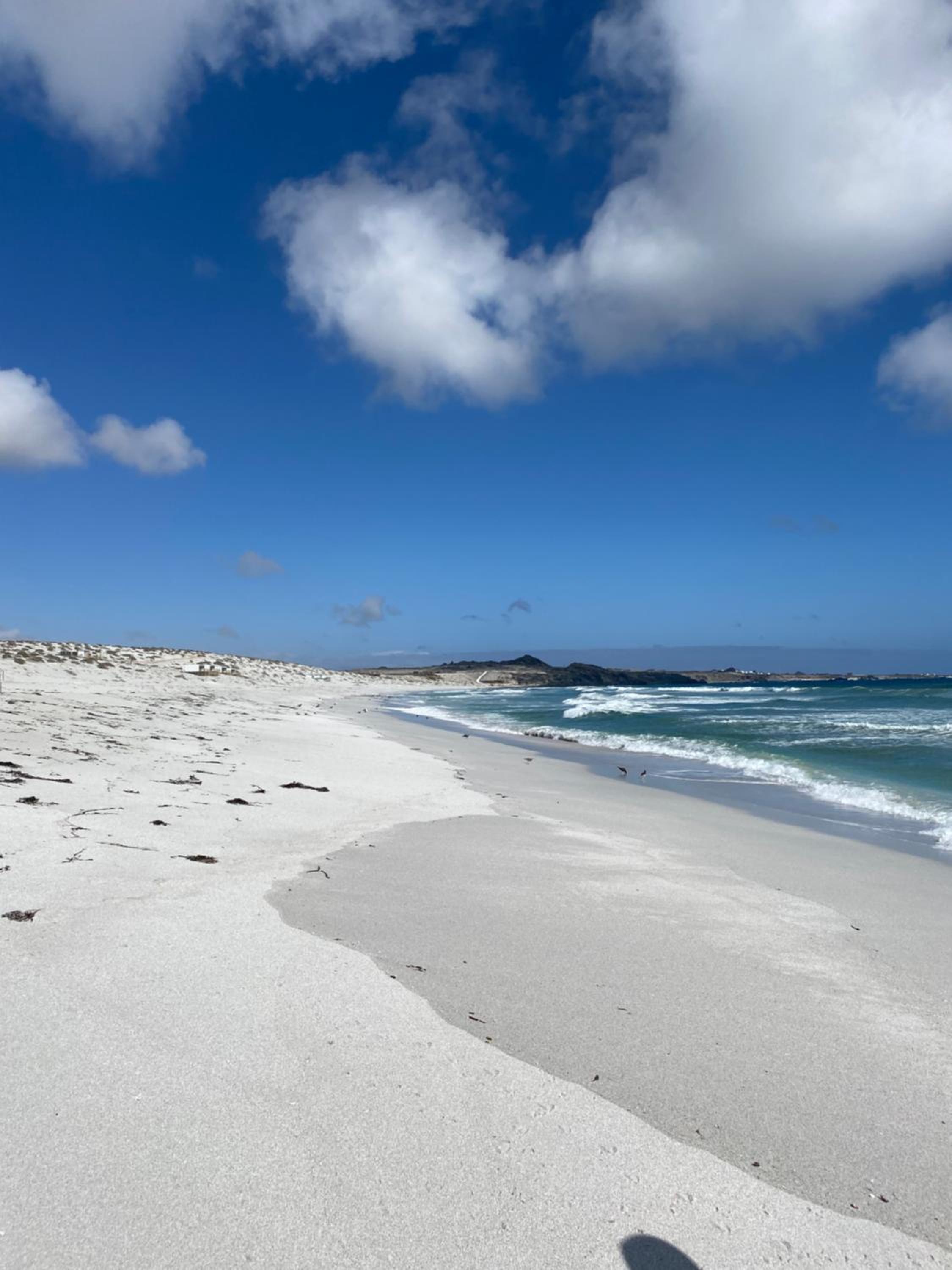 Punta de Choros Lodge view 3