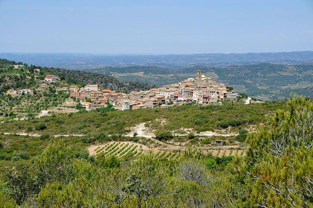 Eremita al Priorat