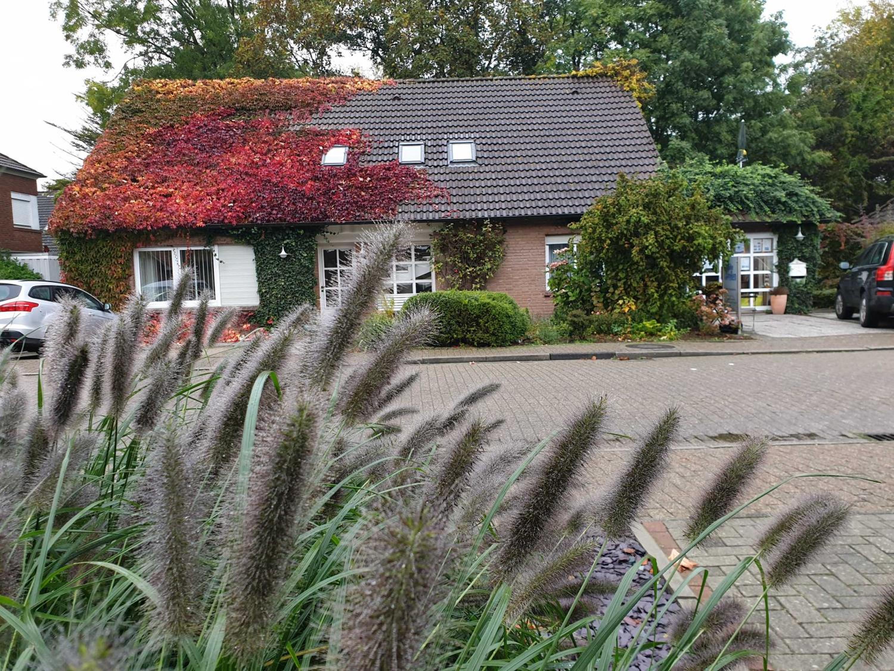 Deichgräfin 1