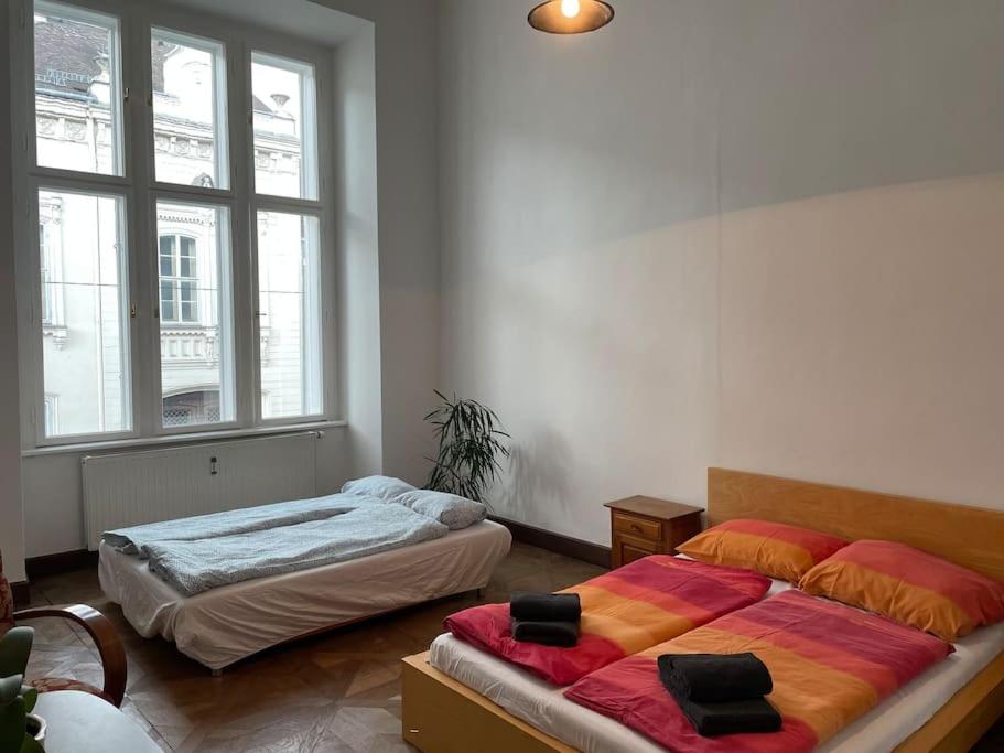 Geräumige Altbauwohnung im Zentrum