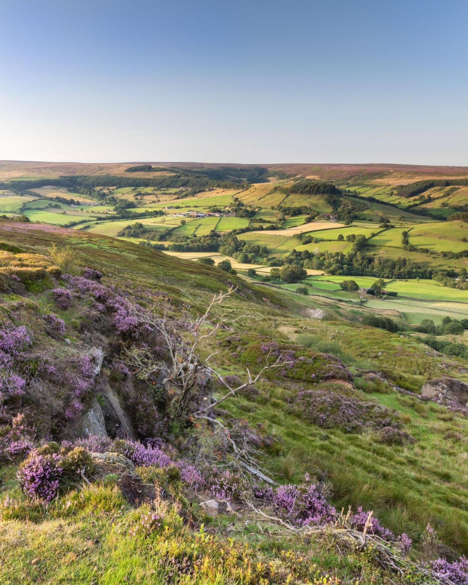 Picturesque Stone Cottage in the Heart of North Yorkshire Village - Hideaway Cottage