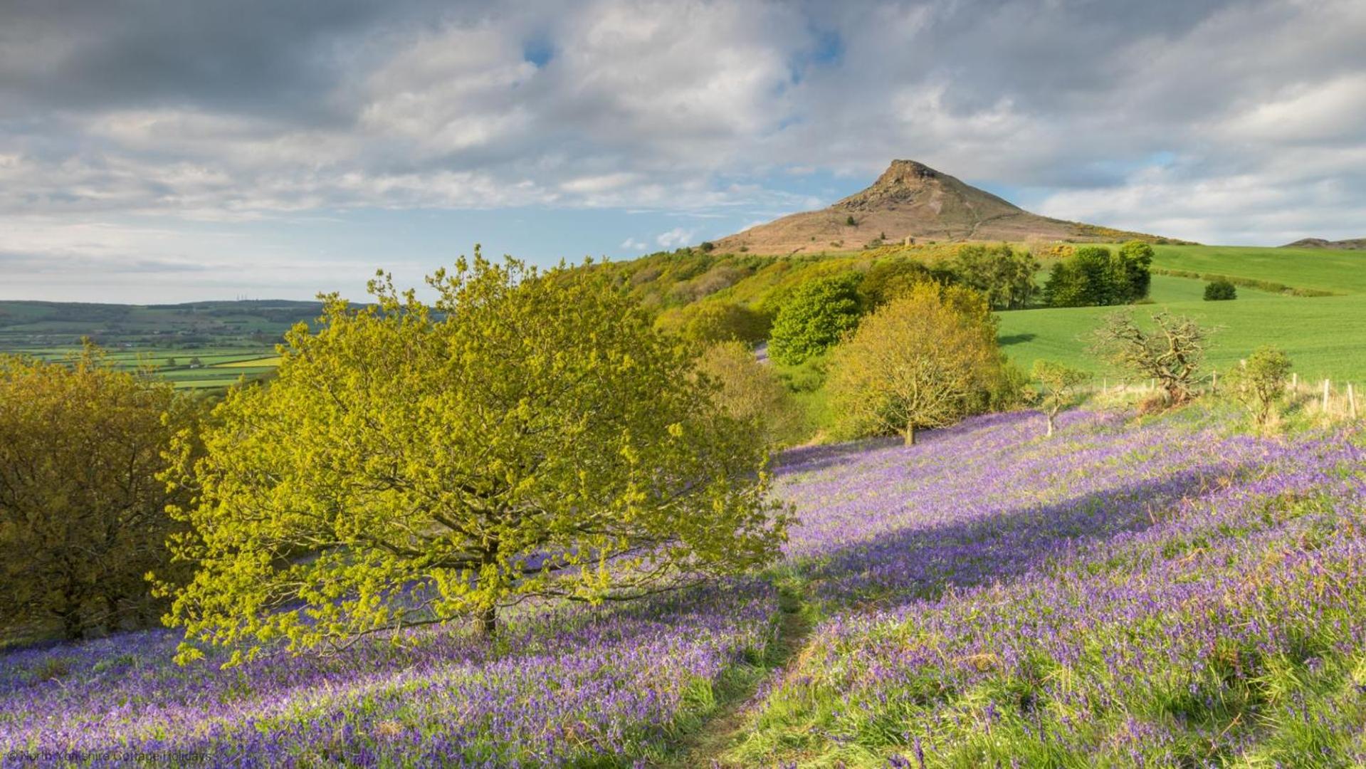 Picturesque Stone Cottage in the Heart of North Yorkshire Village - Hideaway Cottage