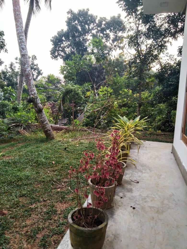 Amal Villa