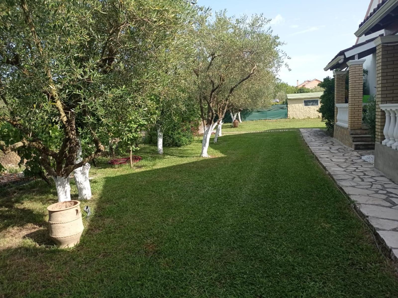Photo 35