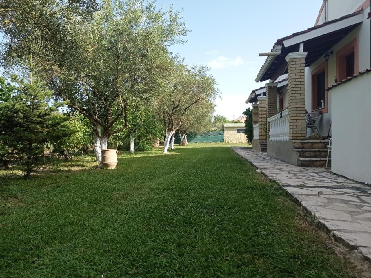 Photo 40