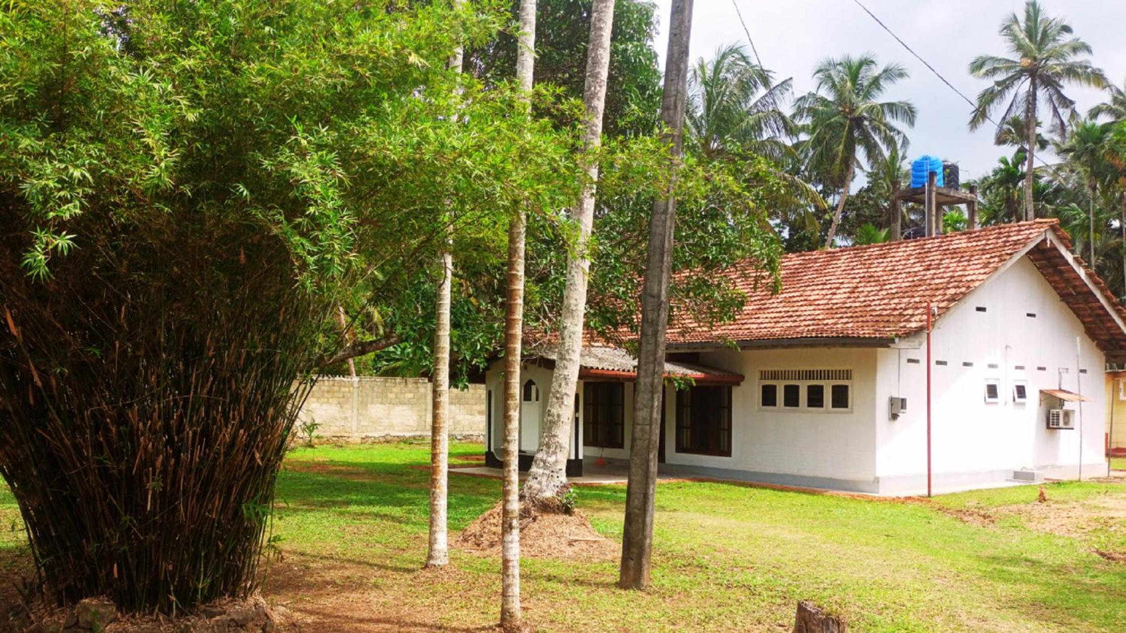 Photo 23