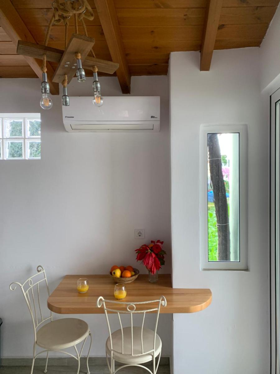 Vitis Vinifera Traditional Studio Apartment view 3