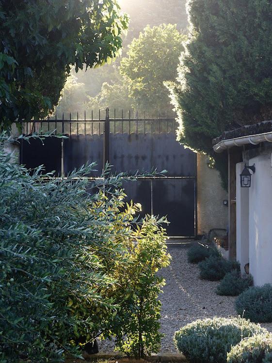 Le Chat Sur Le Toit