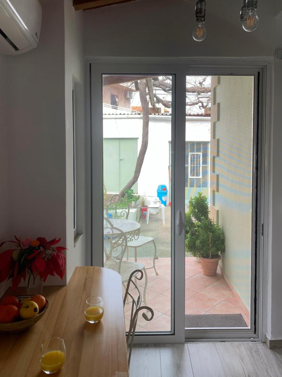 Vitis Vinifera Traditional Studio Apartment view 4