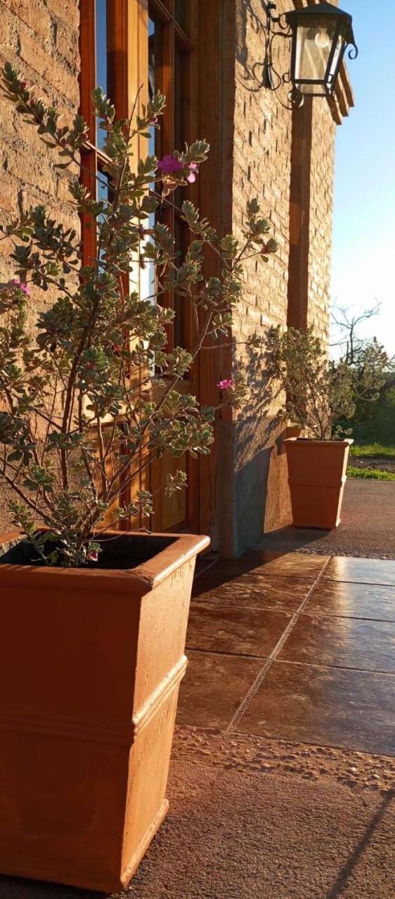 Casas de Epoca -Serendipia