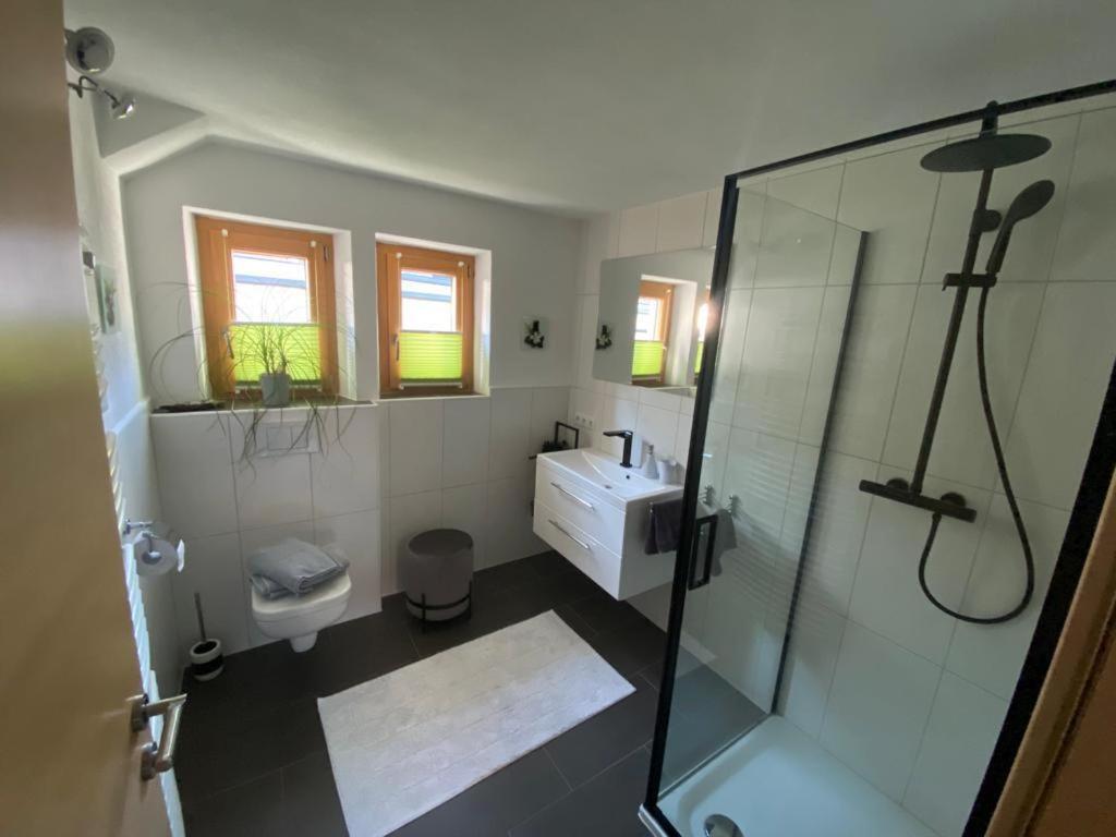 Apartment in der Au