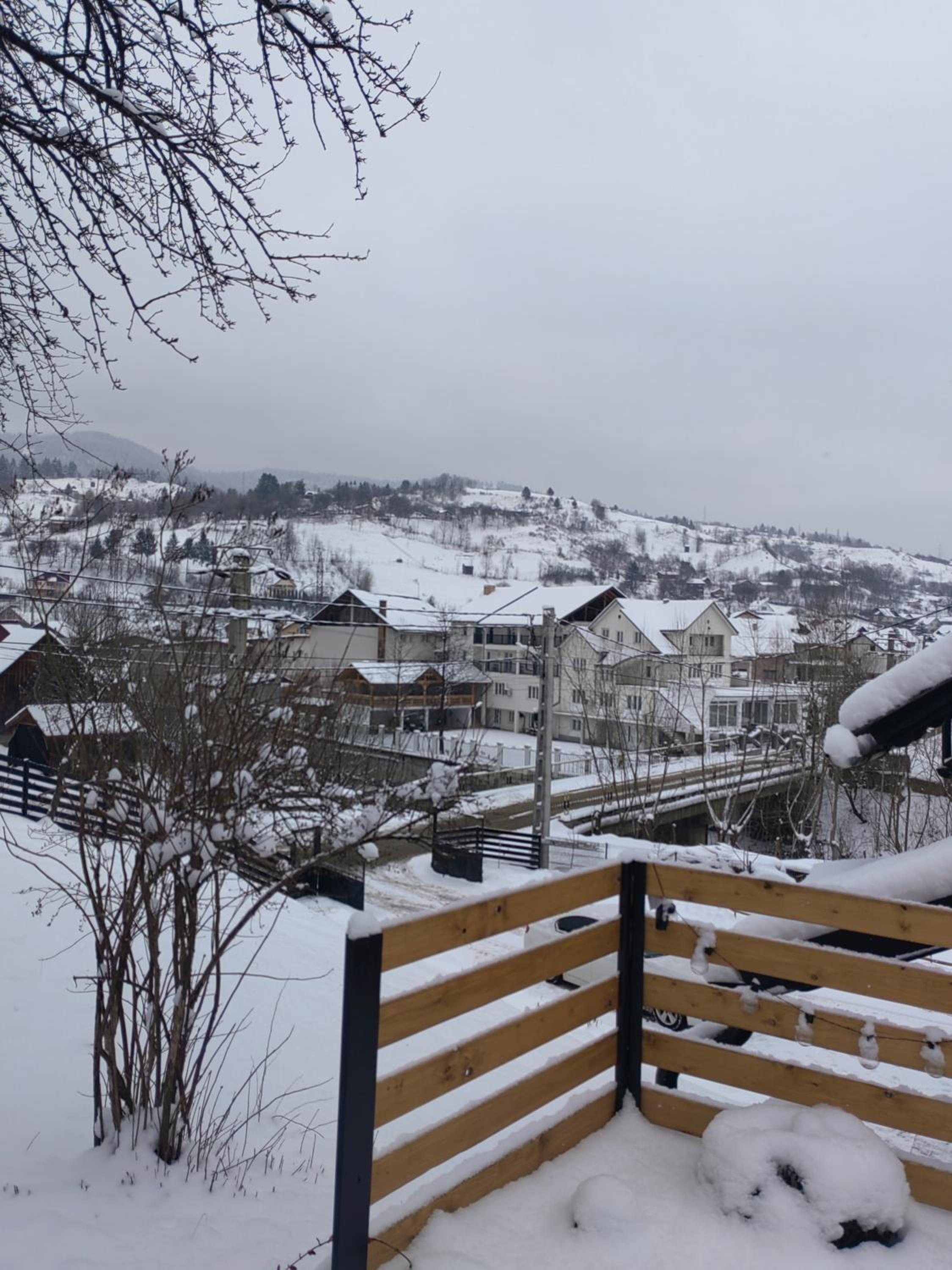 Alissa House view 5