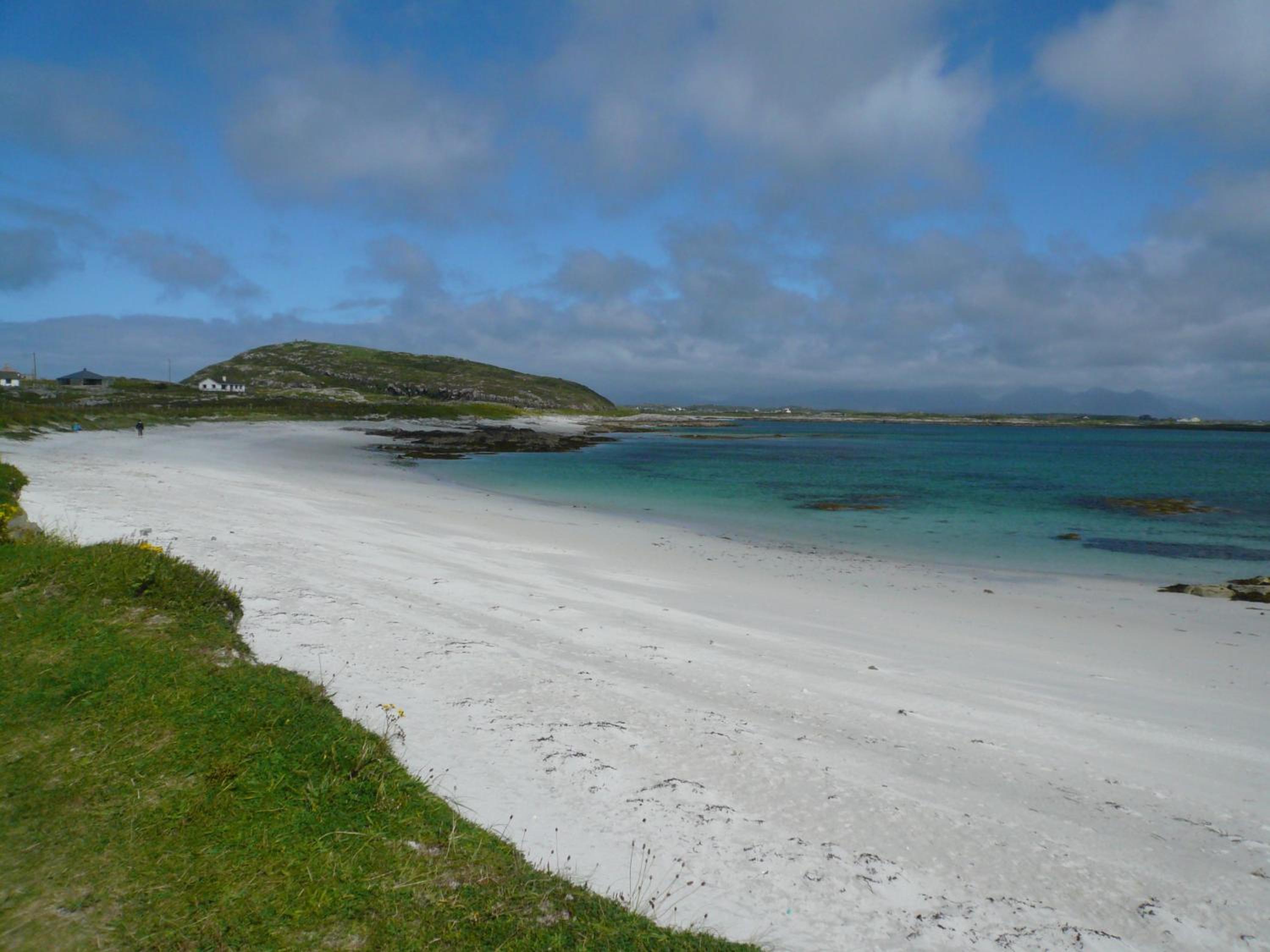 Rugosa, Ballyconneely