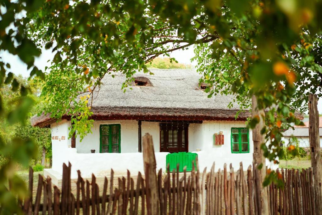 Casuta Muzeu La Artar view 2