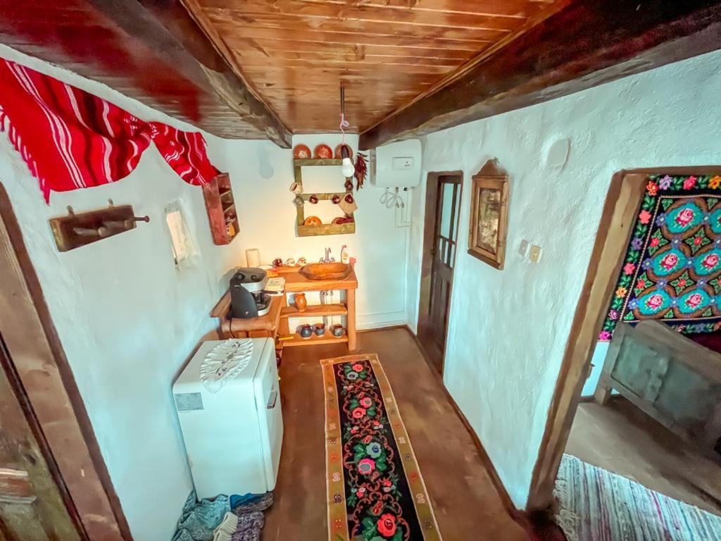 Casuta Muzeu La Artar view 3