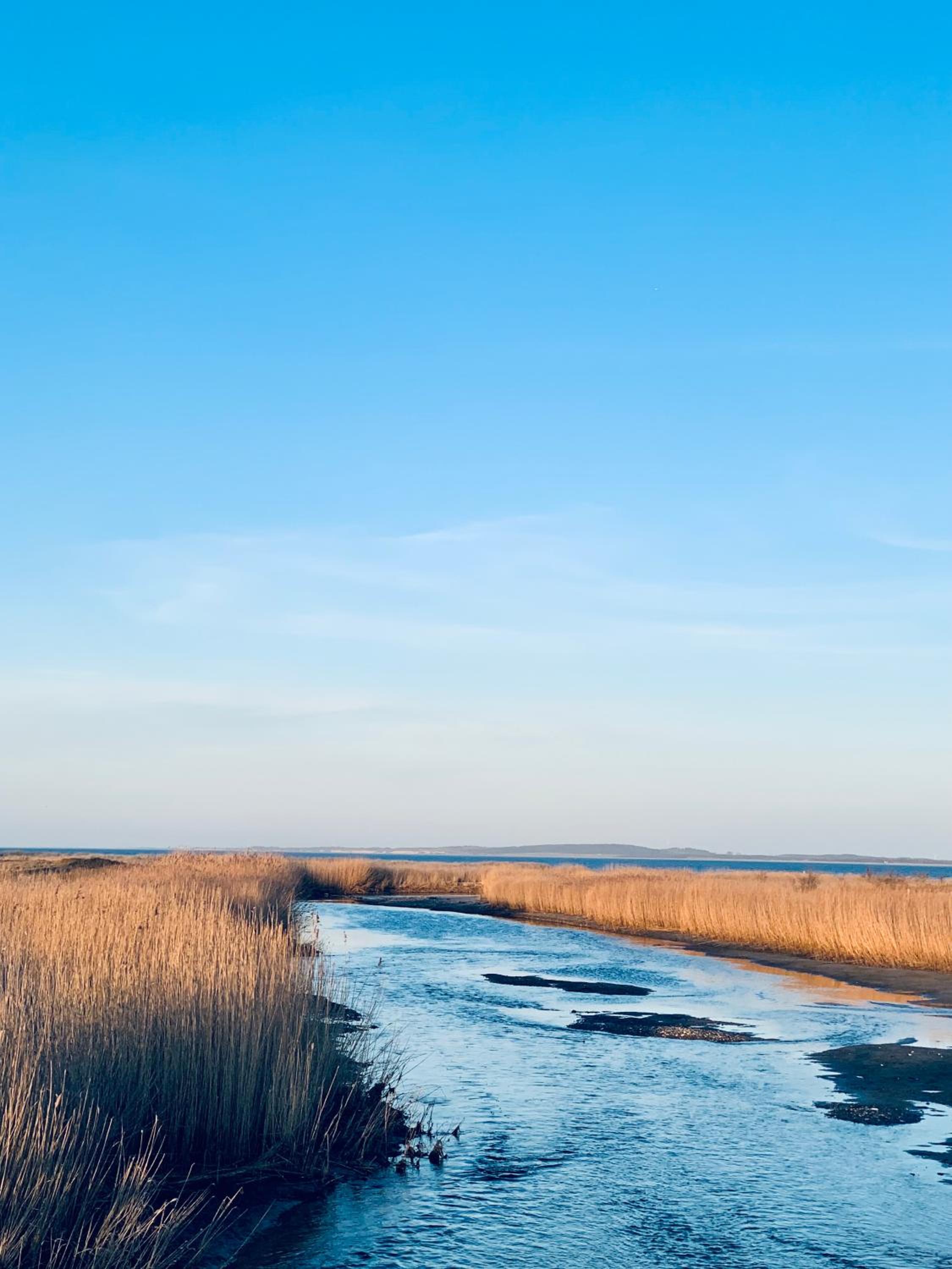 Dein Haus am Meer mit Sauna