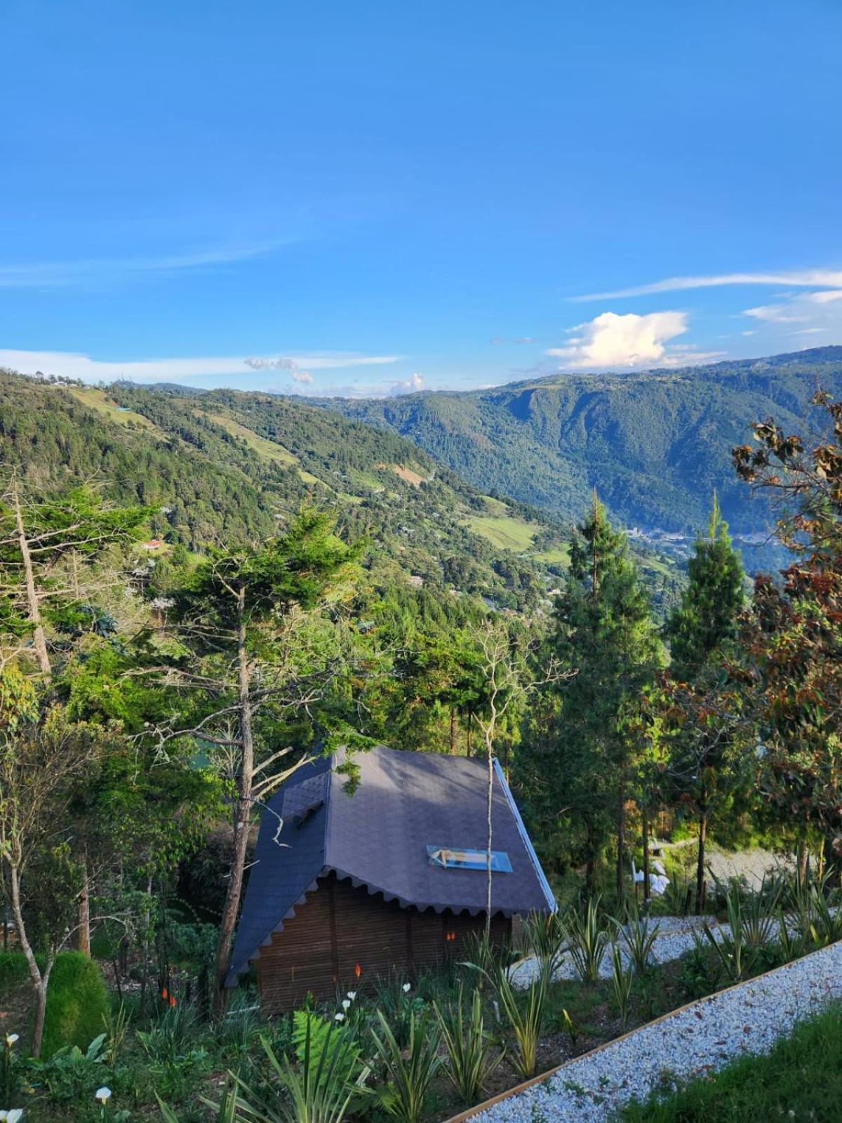 Ecoverso Cabañas del bosque