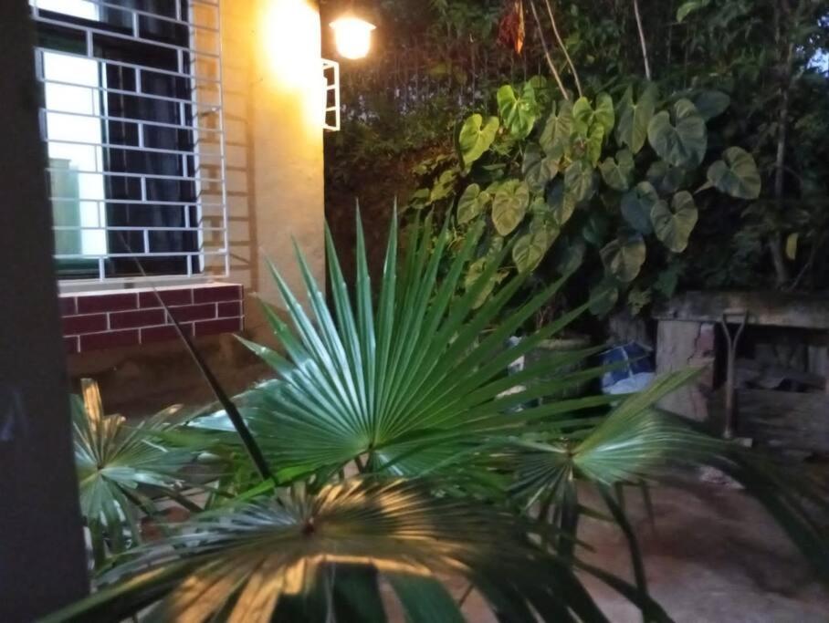 Nosso Refúgio na ilha de Paquetá