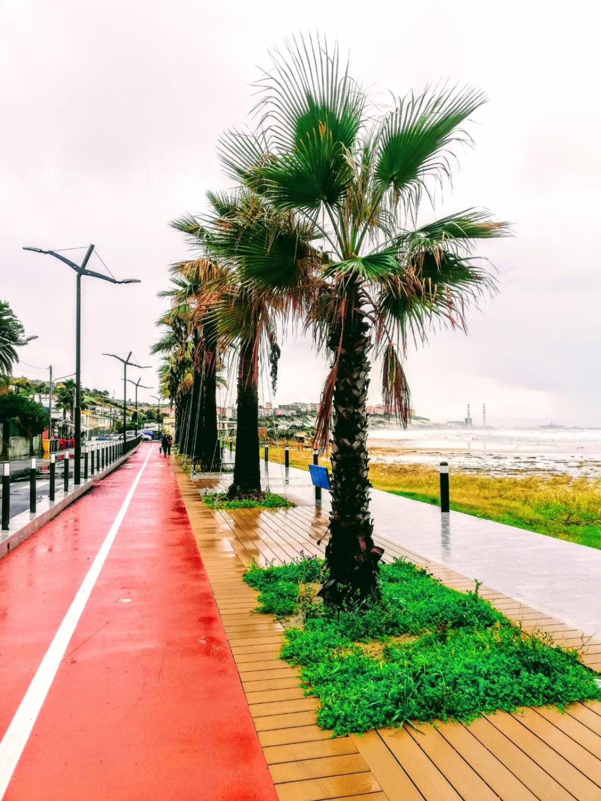 Photo 110