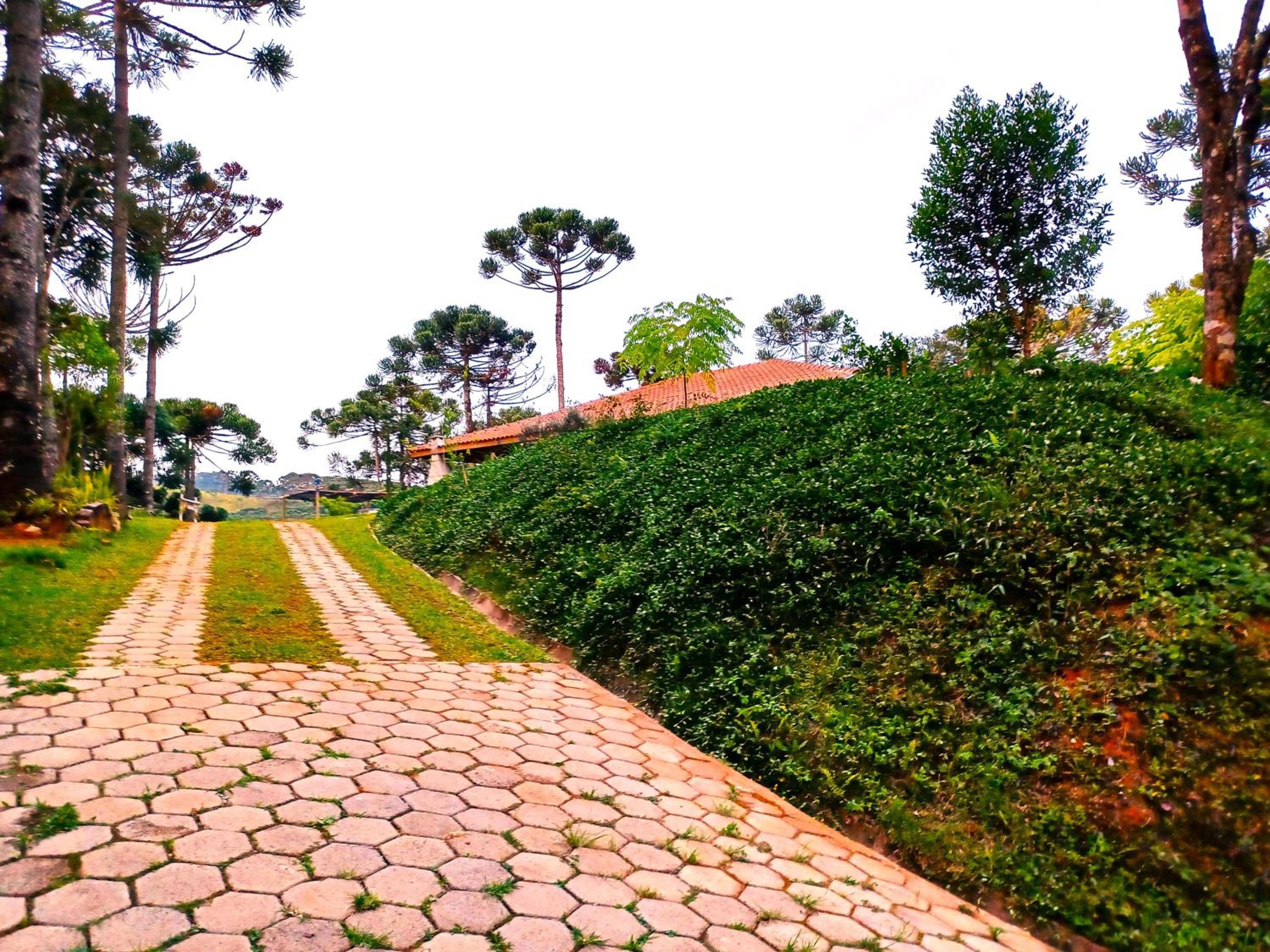 Sopro da Serra Chalés
