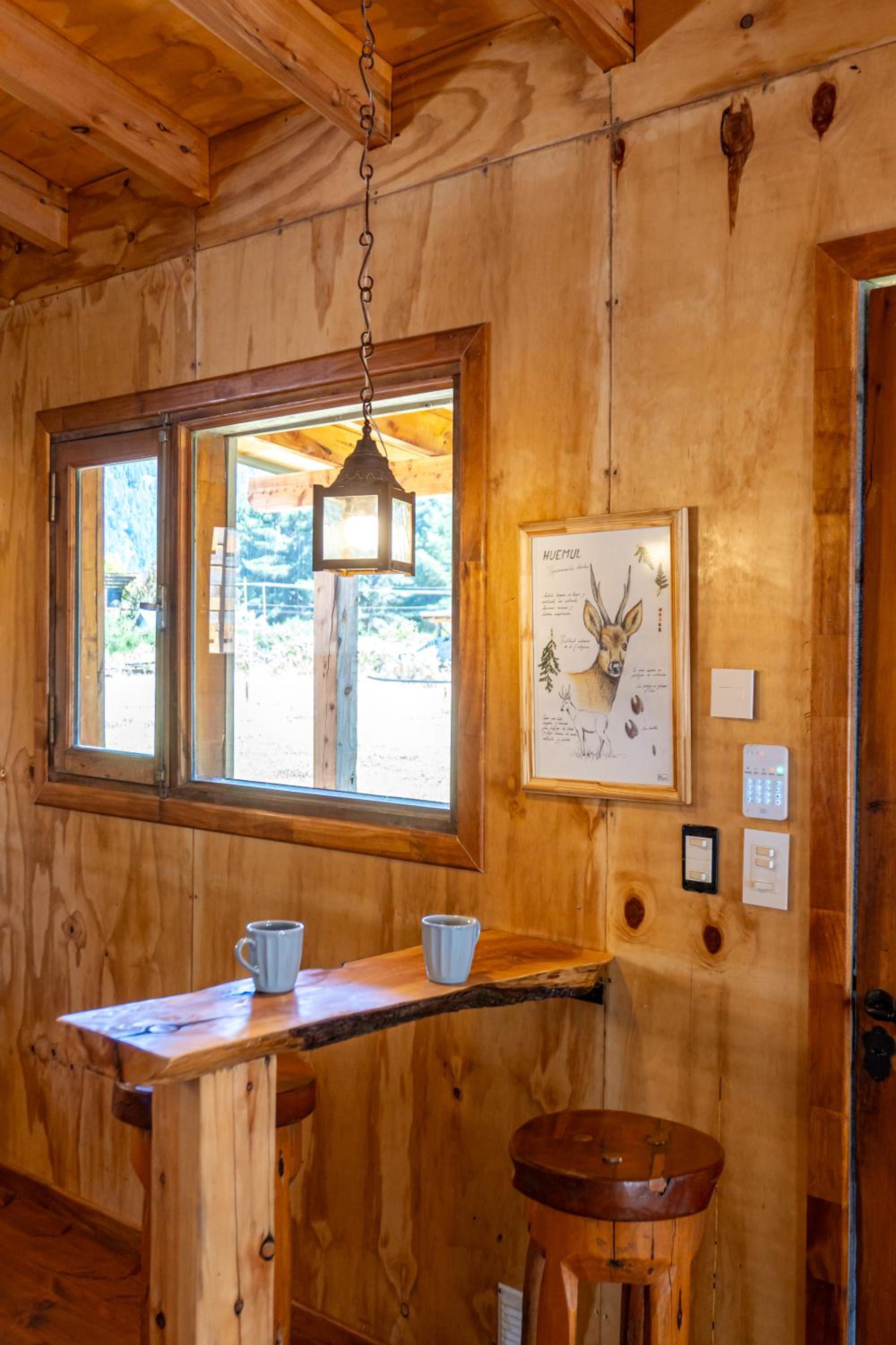 Wild Cabañas Boutique
