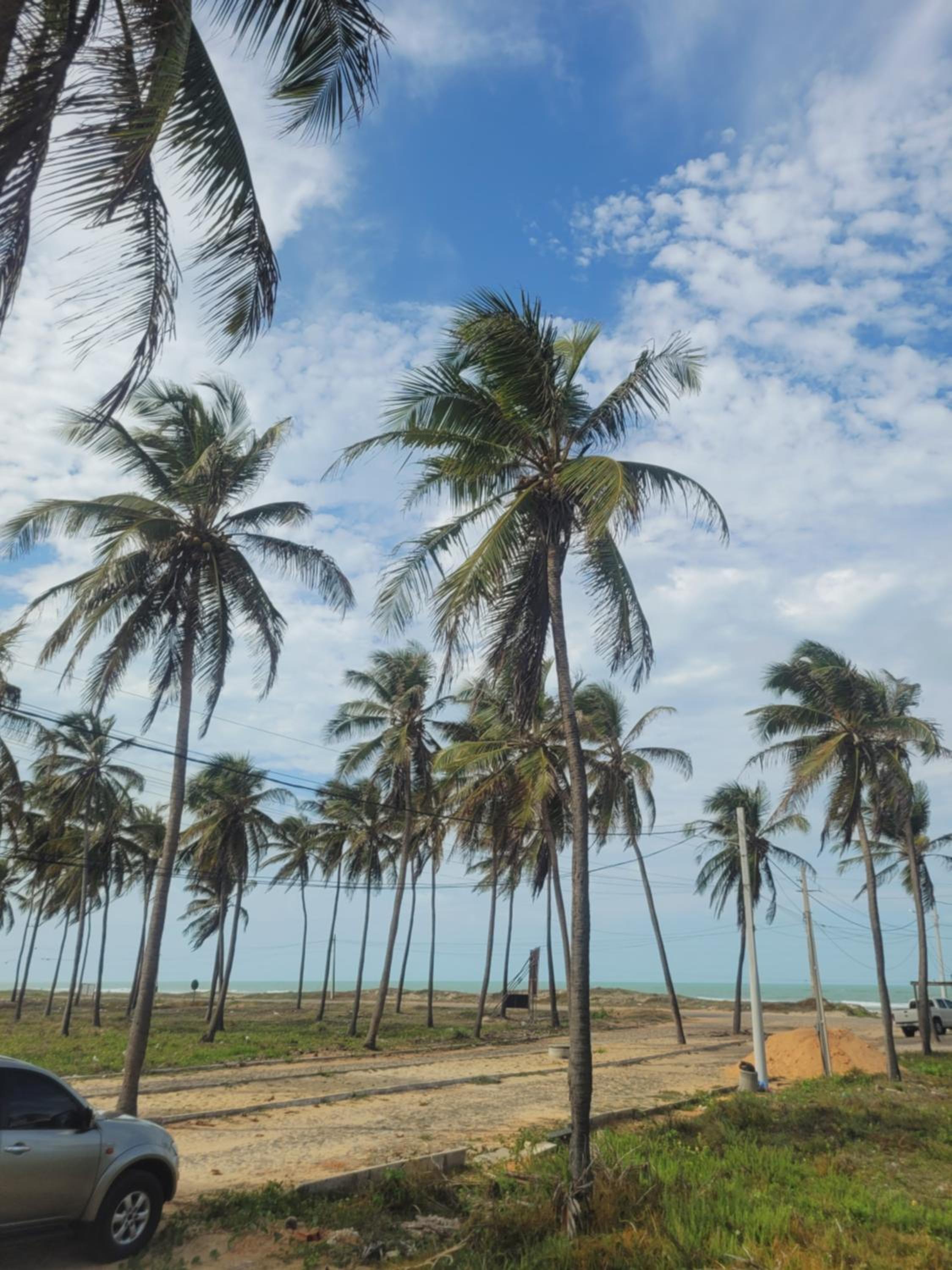 FLECHEIRAS ATLANTICO